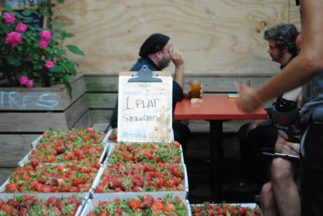 Strawberry haul