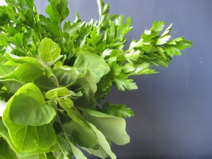 Parsley & Papalo