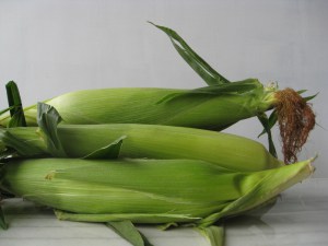 white corn