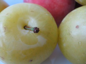 plums & peaches plums & peaches