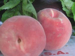 Peaches & Basil