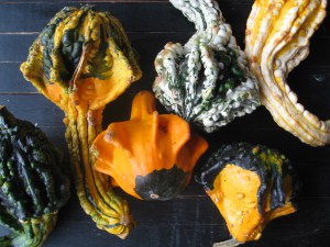 gourds