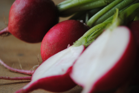 Radish