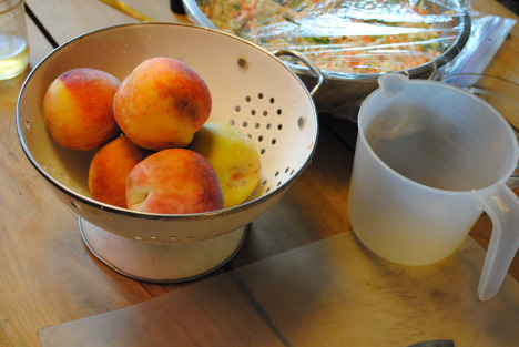 peaches from orchard share. aug 2010