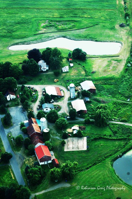 greig farm