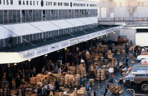 New Amsterdam Market