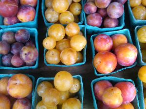 Sakara Plums