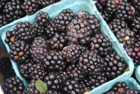 Greig Farm Share 2011