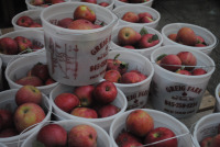 Greig Farm Share 2011
