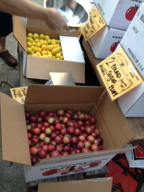 Orchard Share