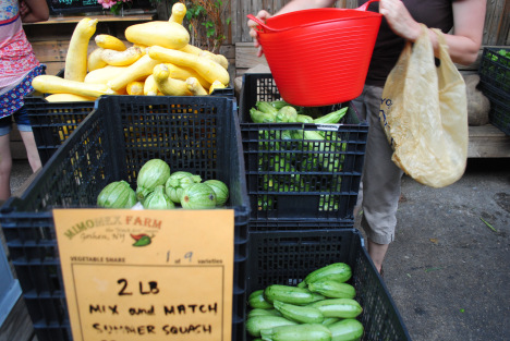 MimoMex Veg Share