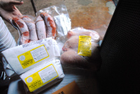 Northwind Meat Share