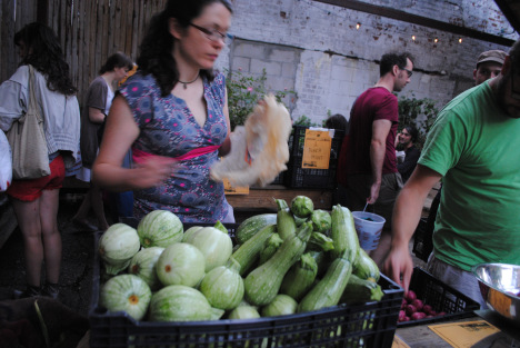 Farm fresh squash from MimoMex Farm