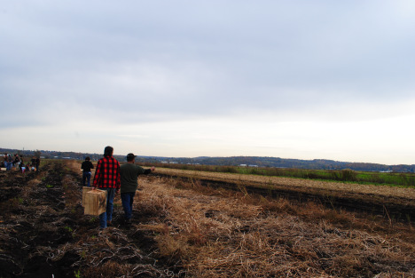 MimoMex Farm pic by Ryan Kuonen