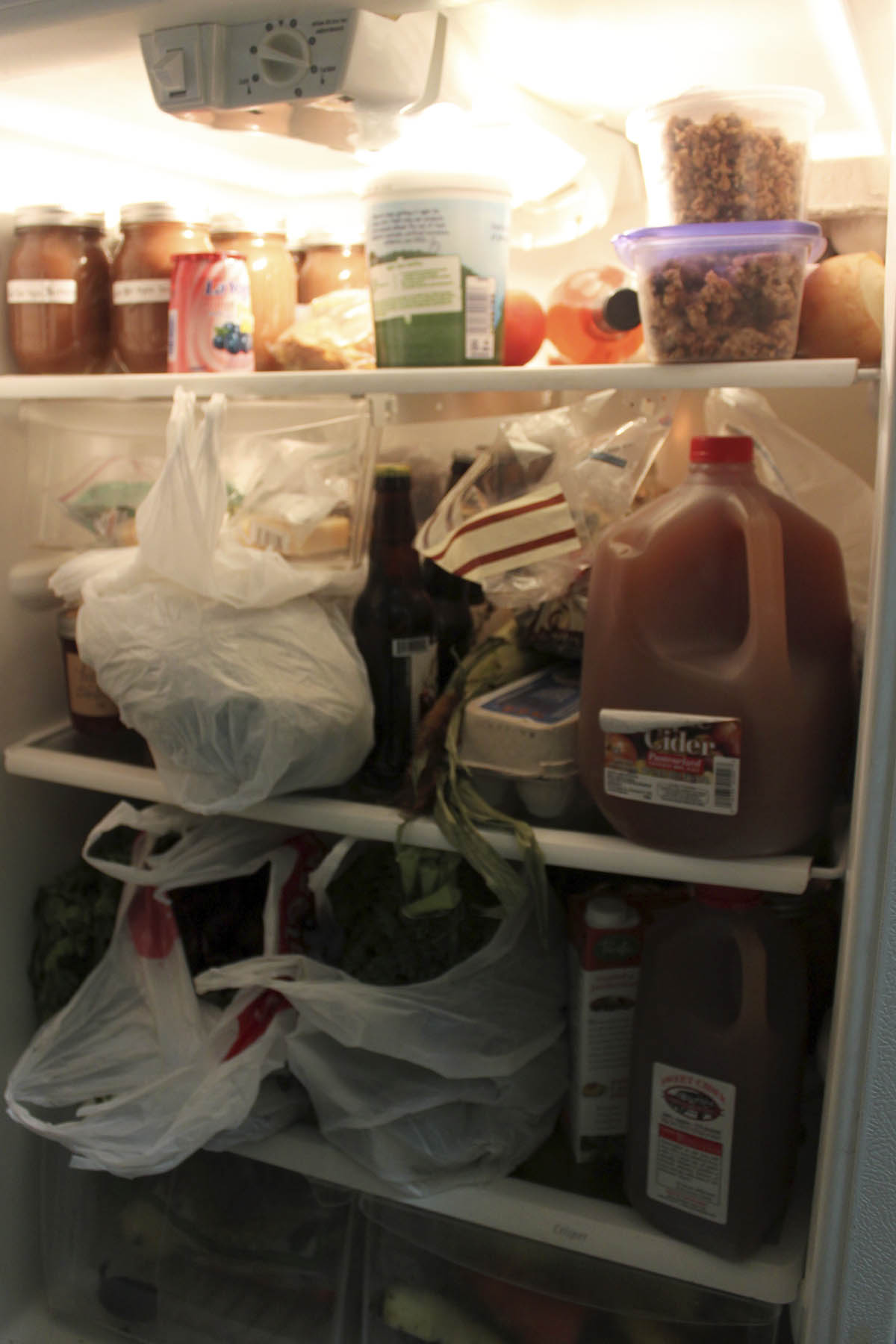 Full Fridge pic by Beth Arnold