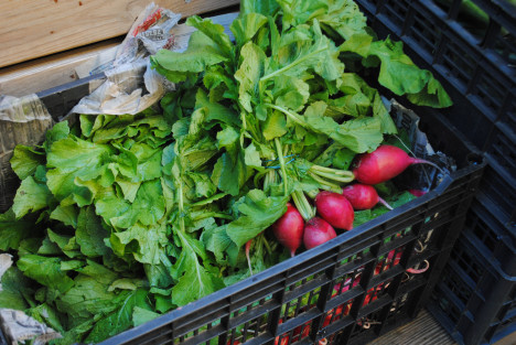 Local Vegetables