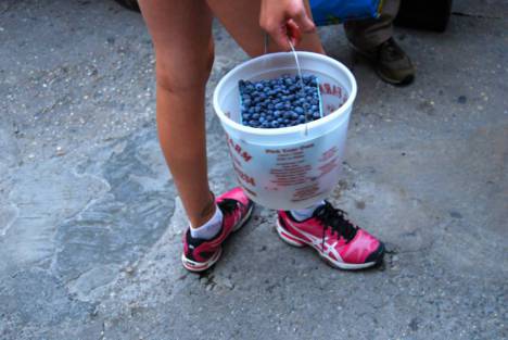 Local Fruit!