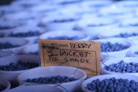 Greig Farm Share