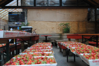 Strawberries