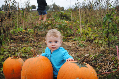 ...running through apples and pumpkins in October. 