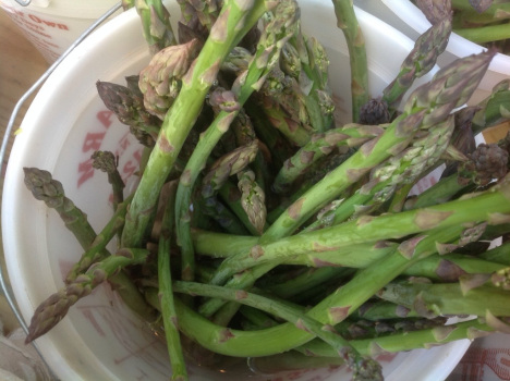 20140519-190833.jpg