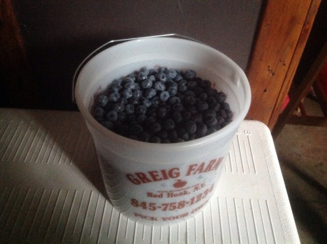 20140714-184952-67792925.jpg