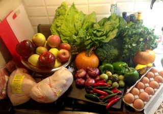 1 our haul