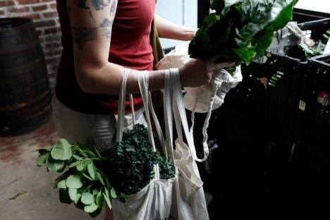 July 31st Distribution - Picking up MimoMex Vegetable Share