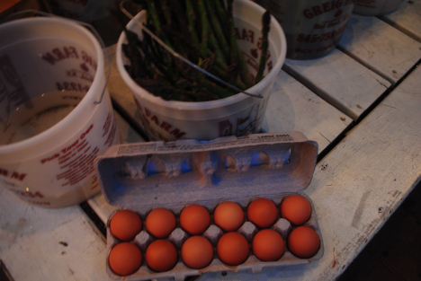 1 Week CSA 2014-05-07 011