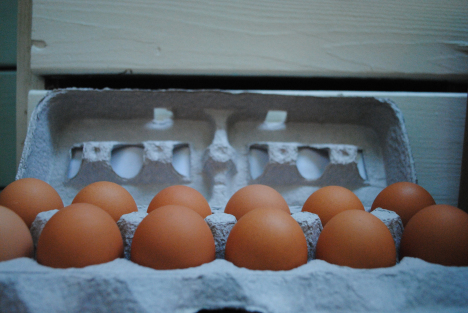 Egg May 2015