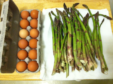 Asparagus Egg photo 1 BY sTEPHANIE j