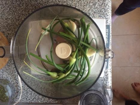 Scapes!