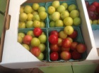 NY Orchard Share