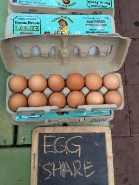 Egg Share