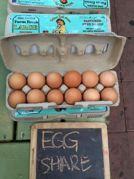 Egg